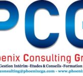 Phoenix Consulting Group SN
